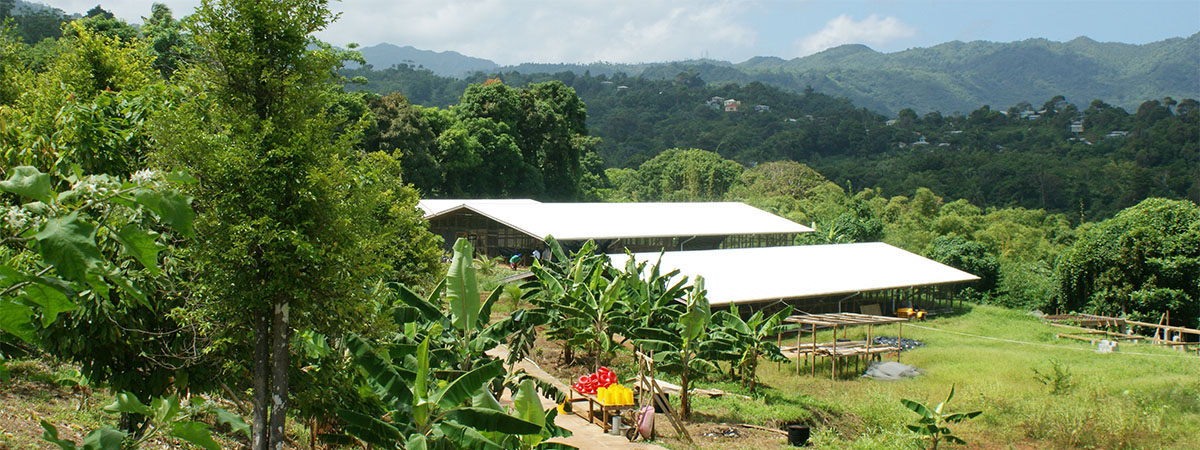 farm
